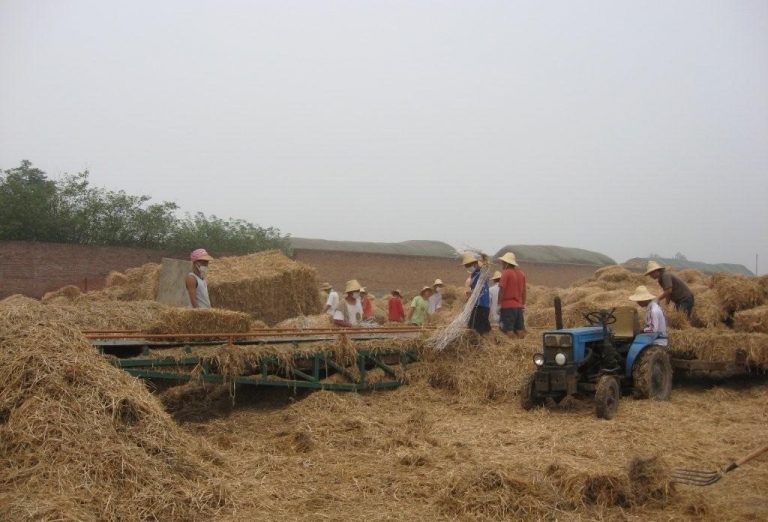 The production of fibreboards from straw